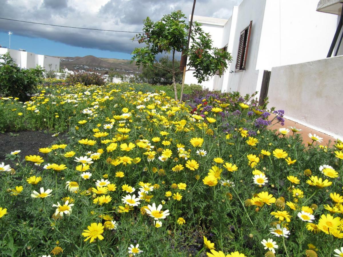 Casa Montana De Tahiche Villa ภายนอก รูปภาพ